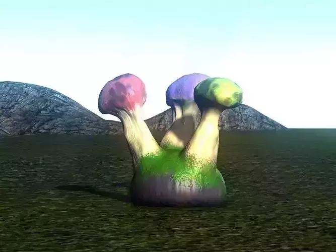 Giant mushroom rock
