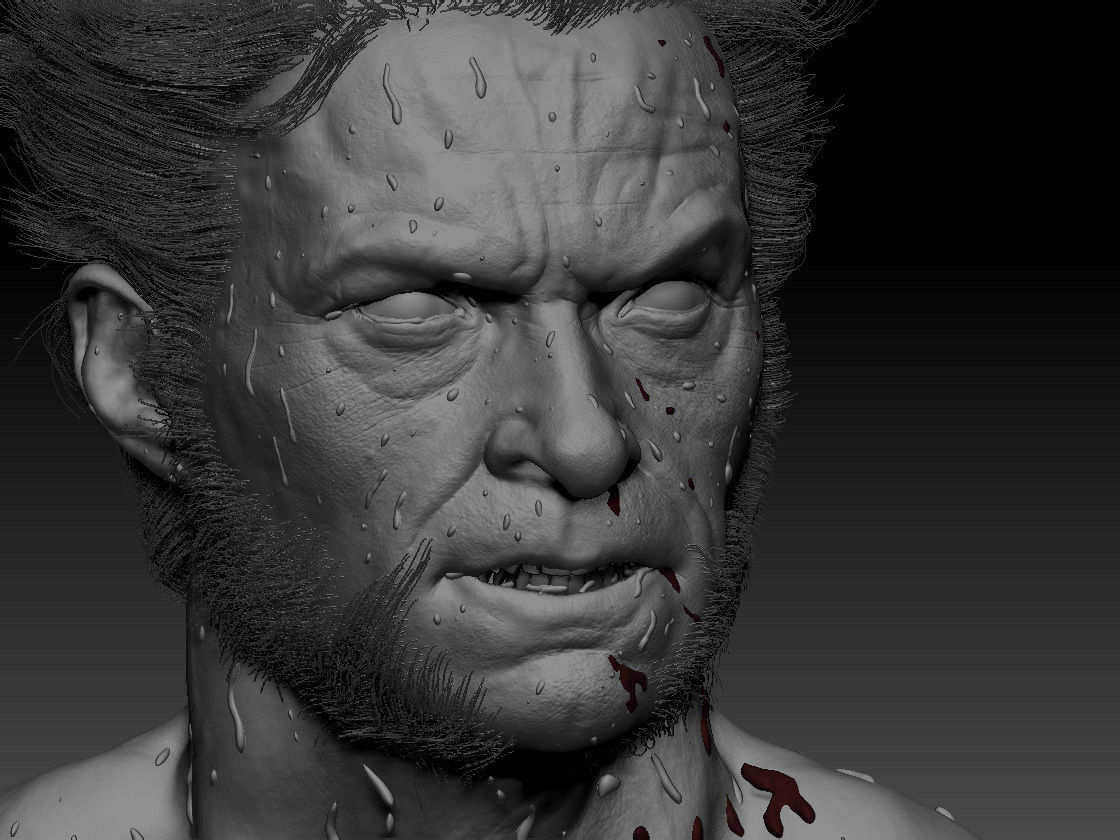 Hugh Jackman wolverine 3d model 3D model_8