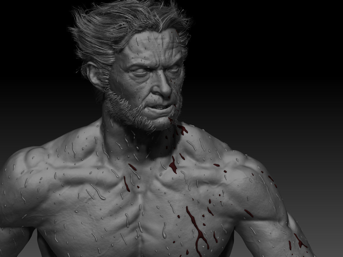Hugh Jackman wolverine 3d model 3D model_6