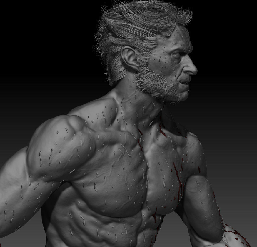 Hugh Jackman wolverine 3d model 3D model_7