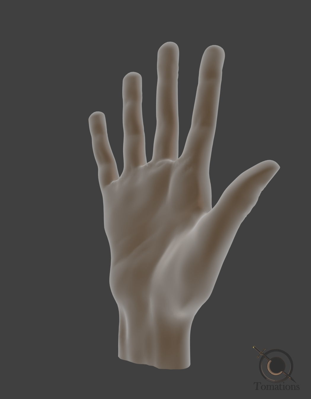 Hand Model 3D model_2