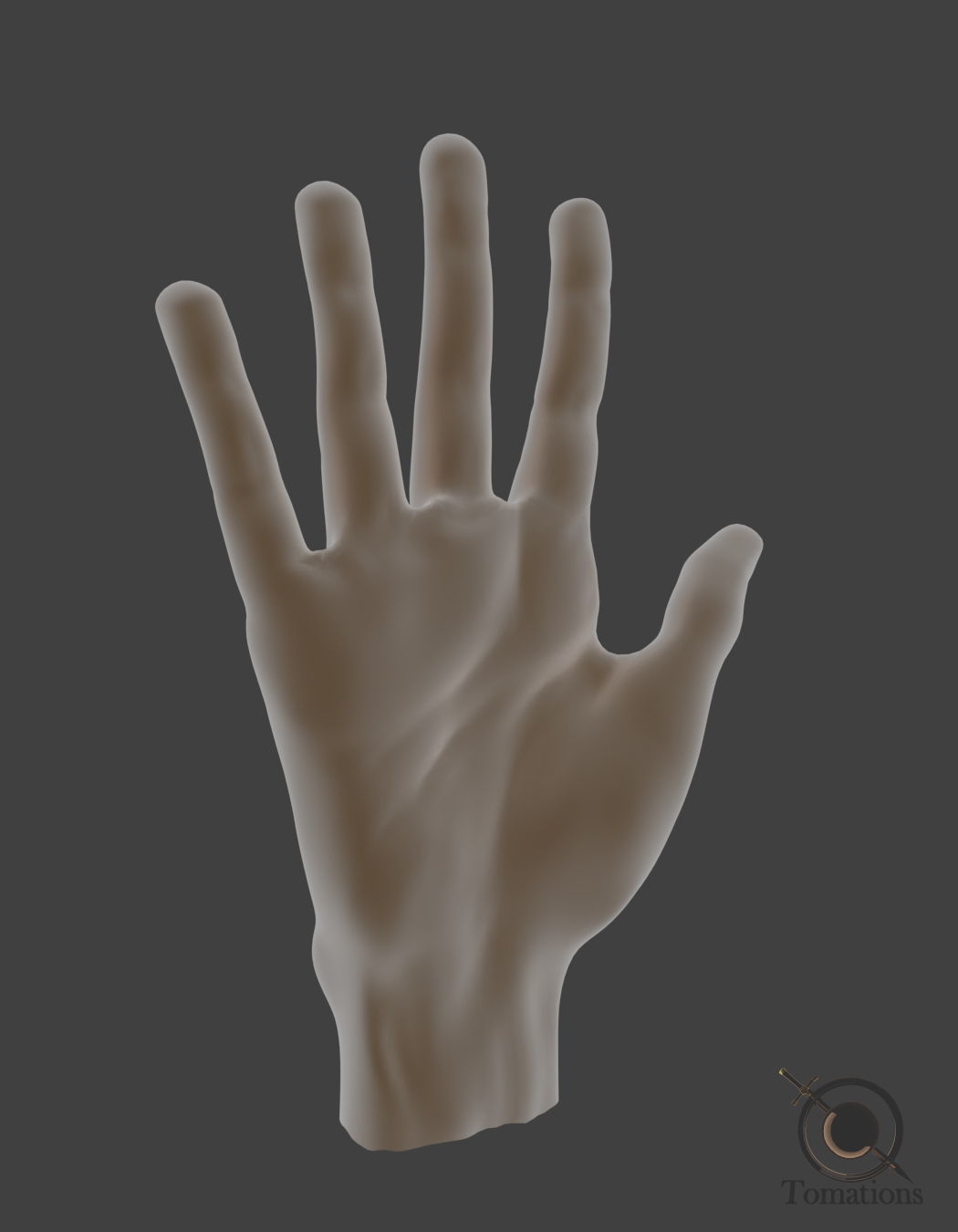 Hand Model 3D model_4