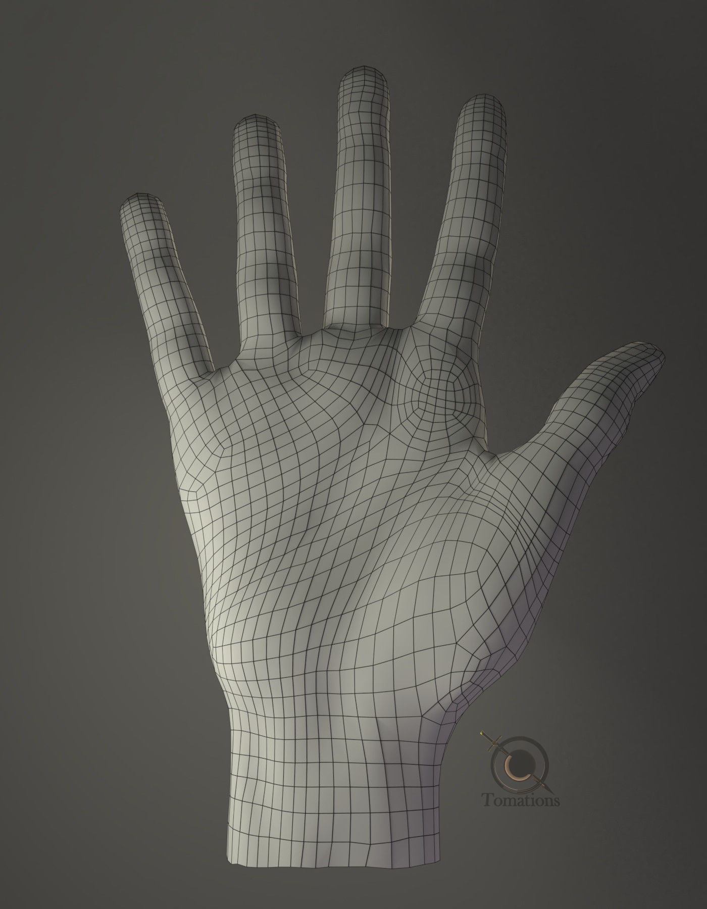 Hand Model 3D model_11