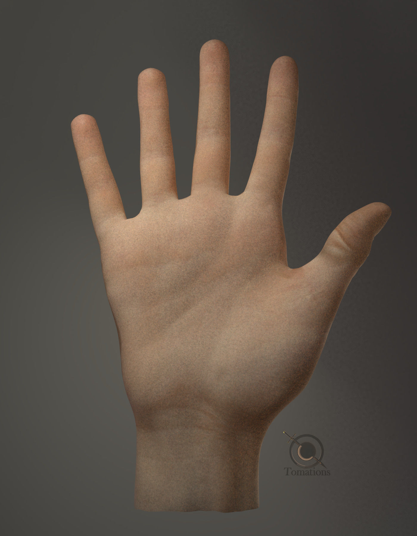 Hand Model 3D model_19