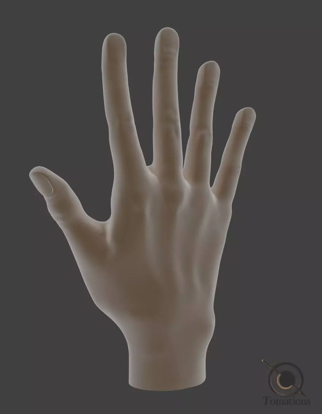 Hand Model 3D model_0