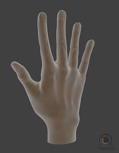 Hand Model 3D model
