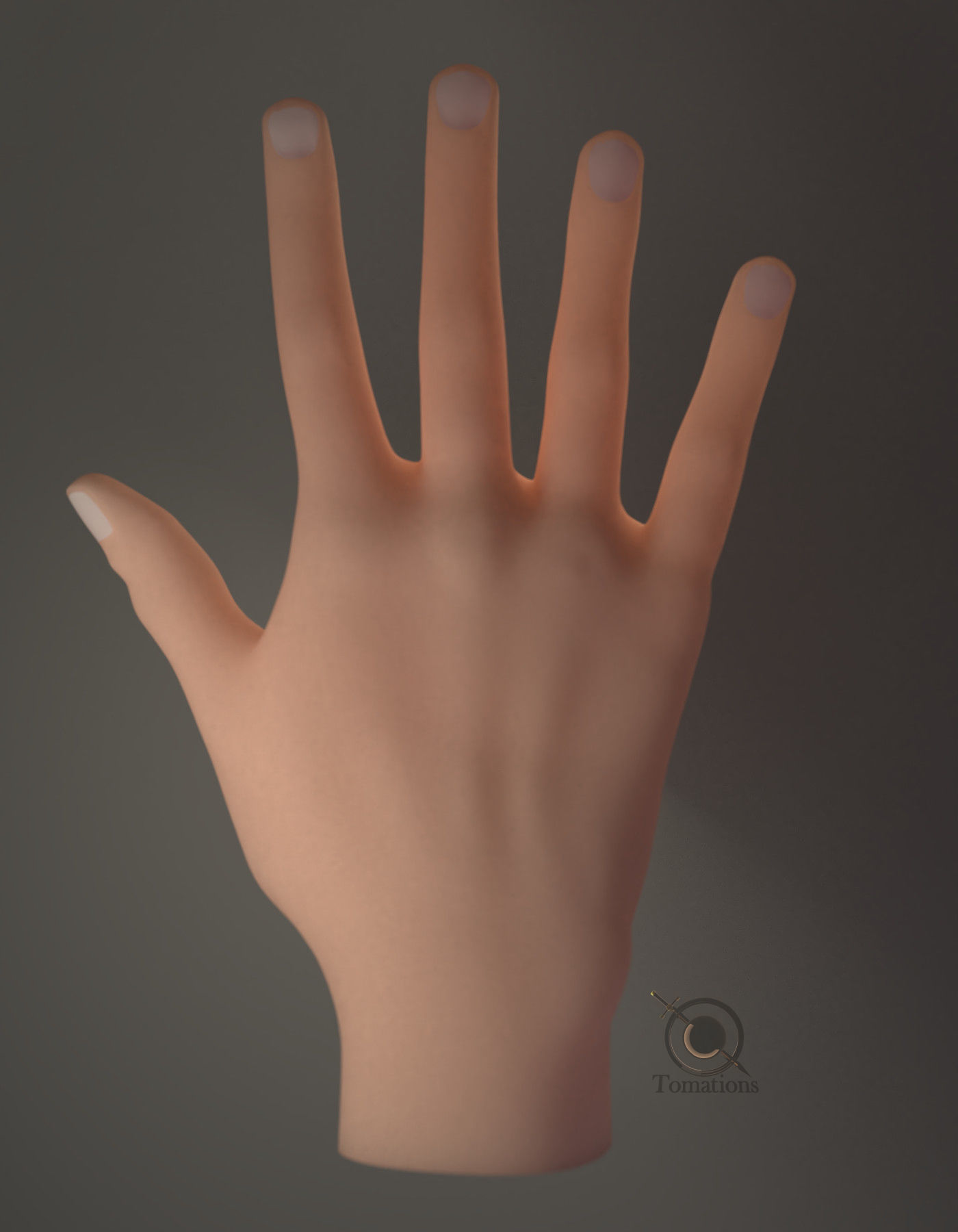 Hand Model 3D model_14