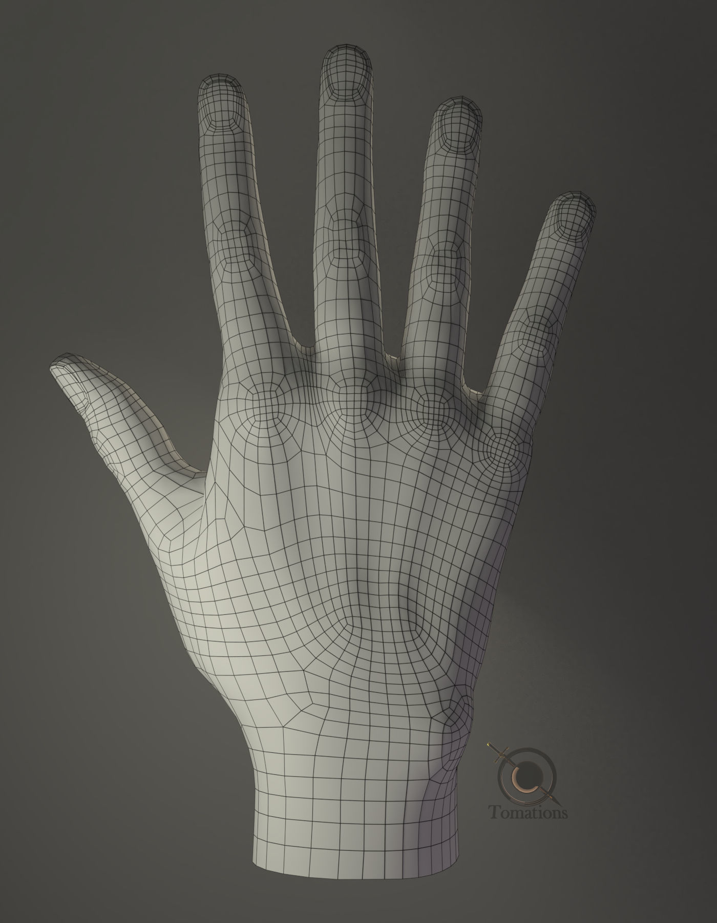 Hand Model 3D model_10
