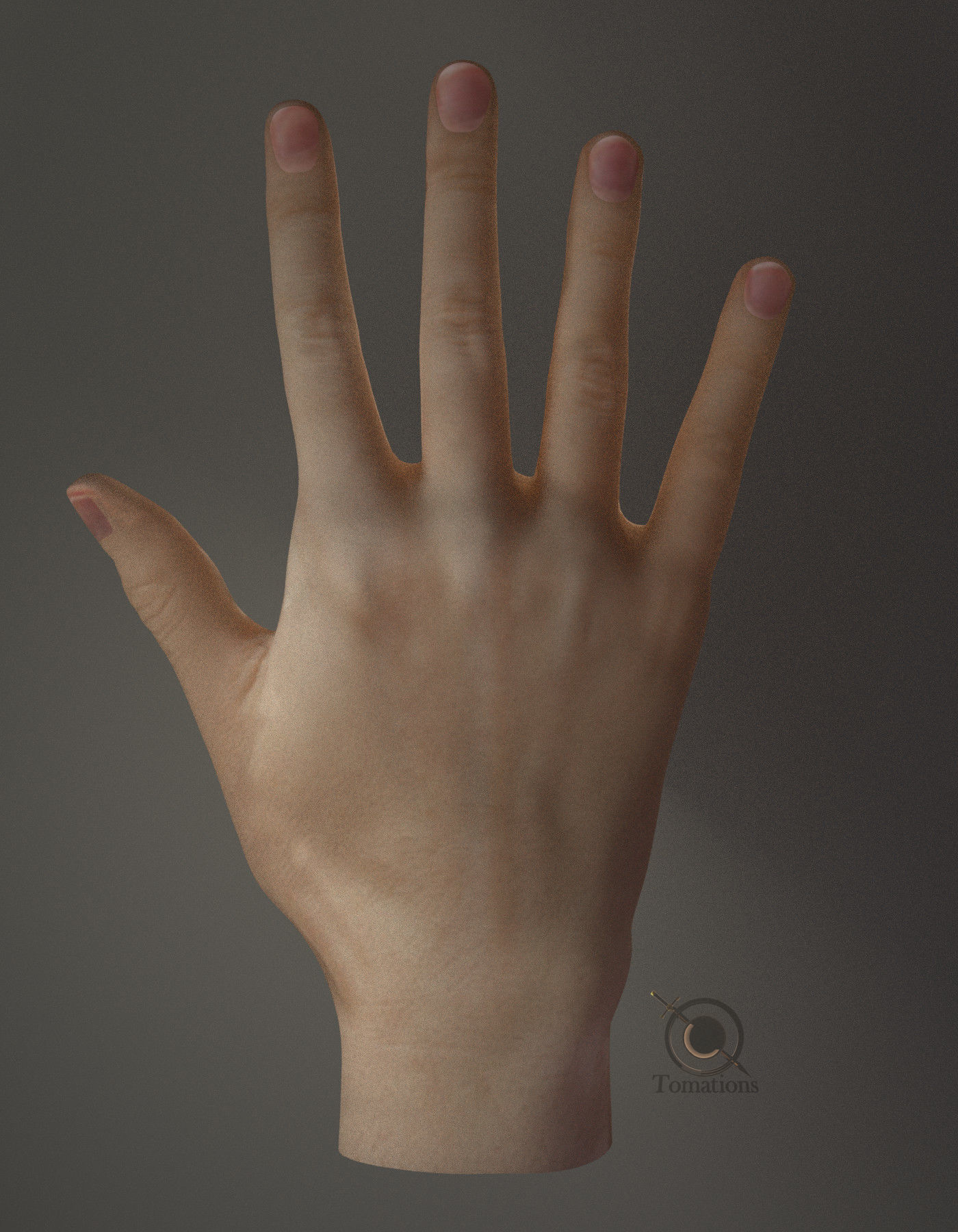 Hand Model 3D model_17