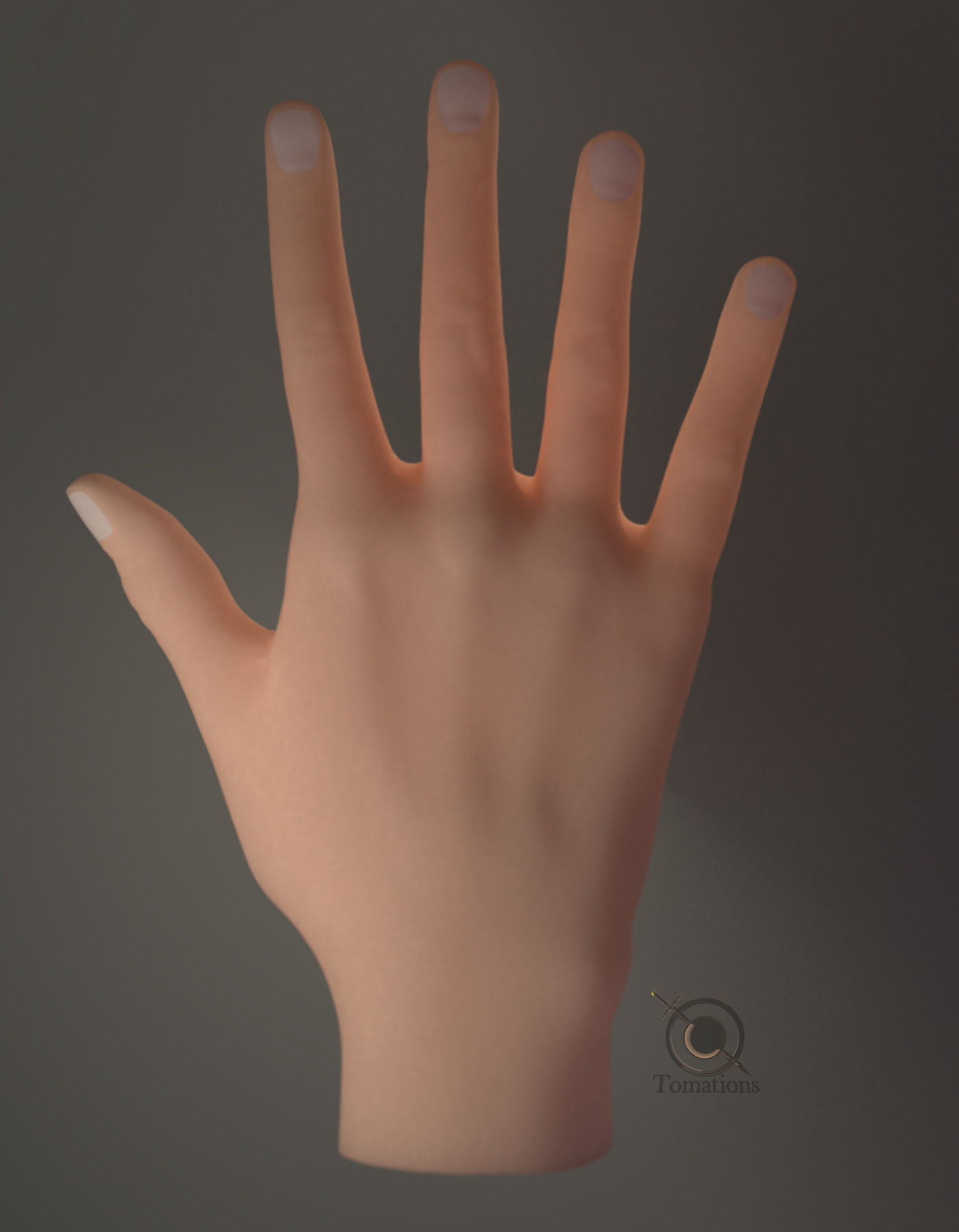 Hand Model 3D model_15
