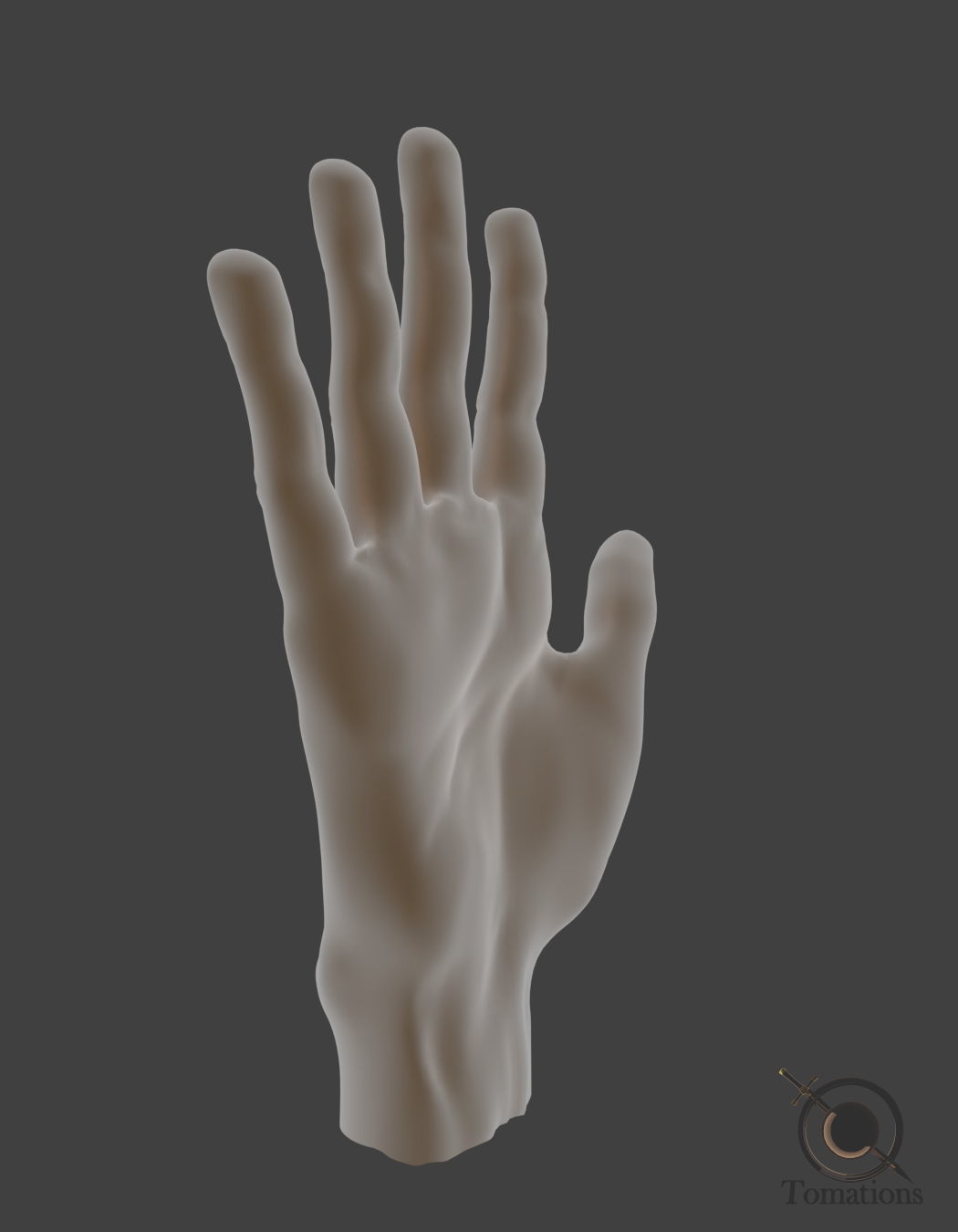 Hand Model 3D model_3