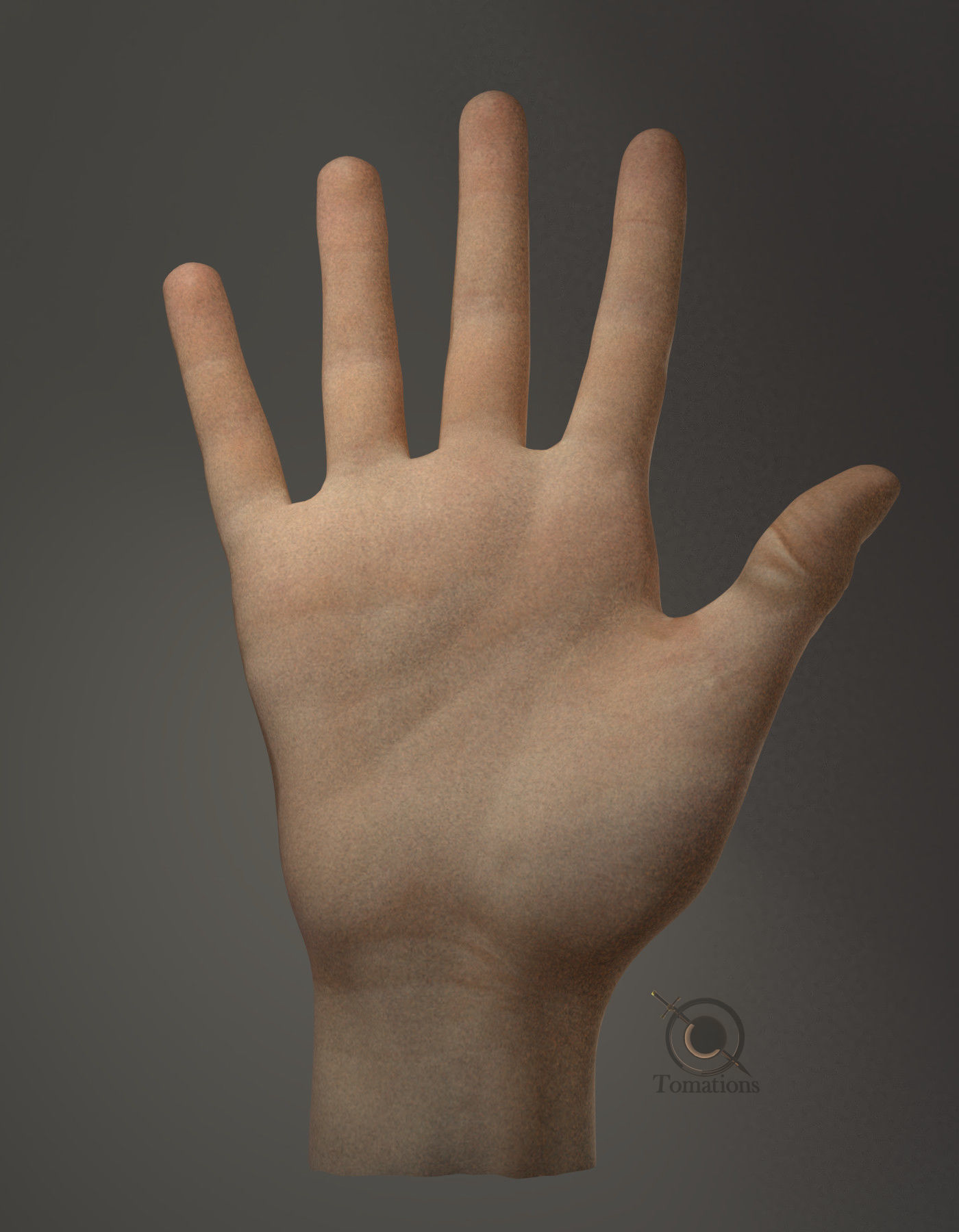 Hand Model 3D model_18