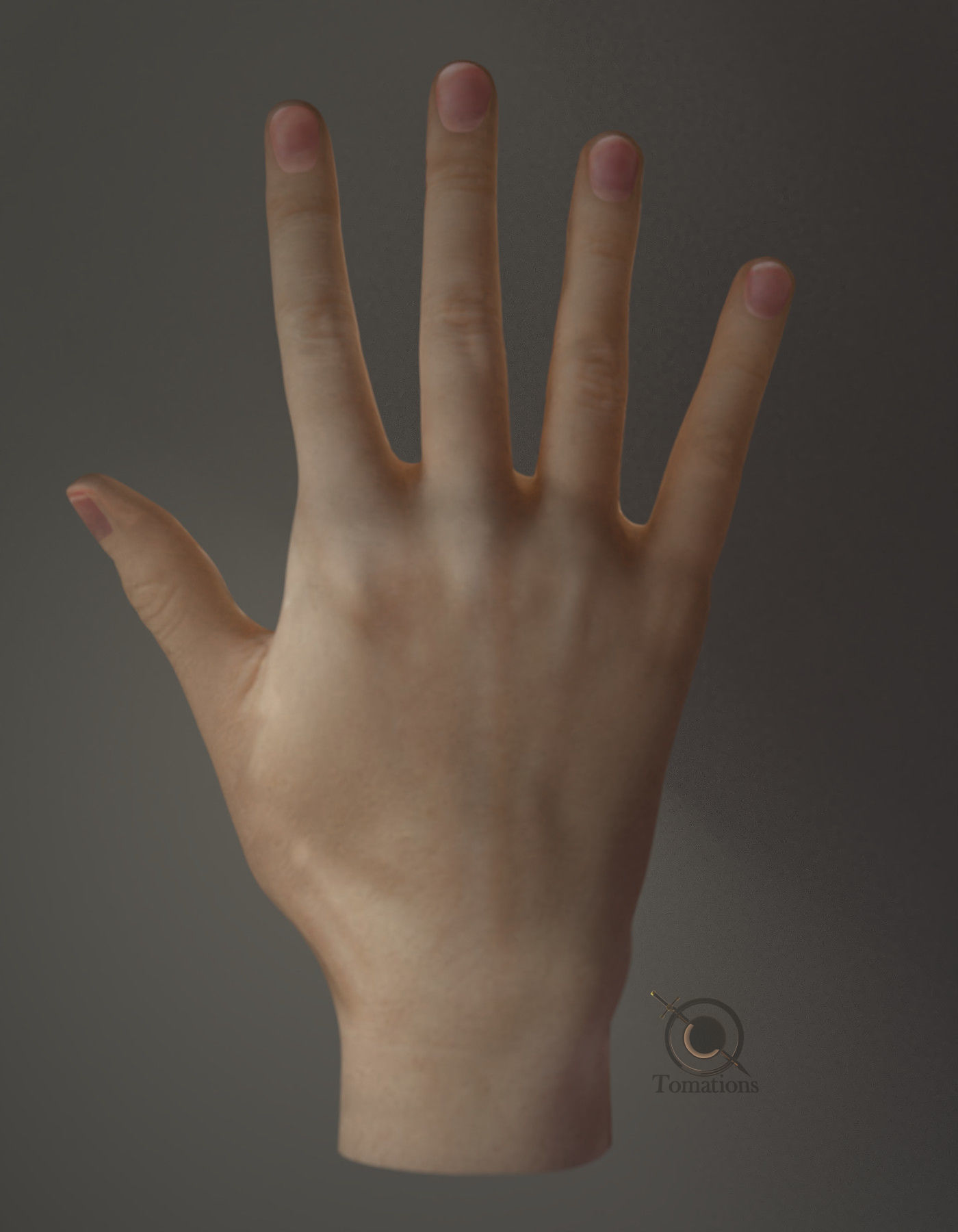 Hand Model 3D model_16