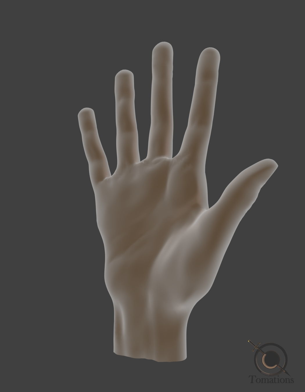 Hand Model 3D model_1