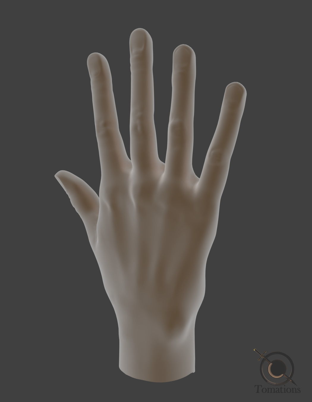 Hand Model 3D model_8