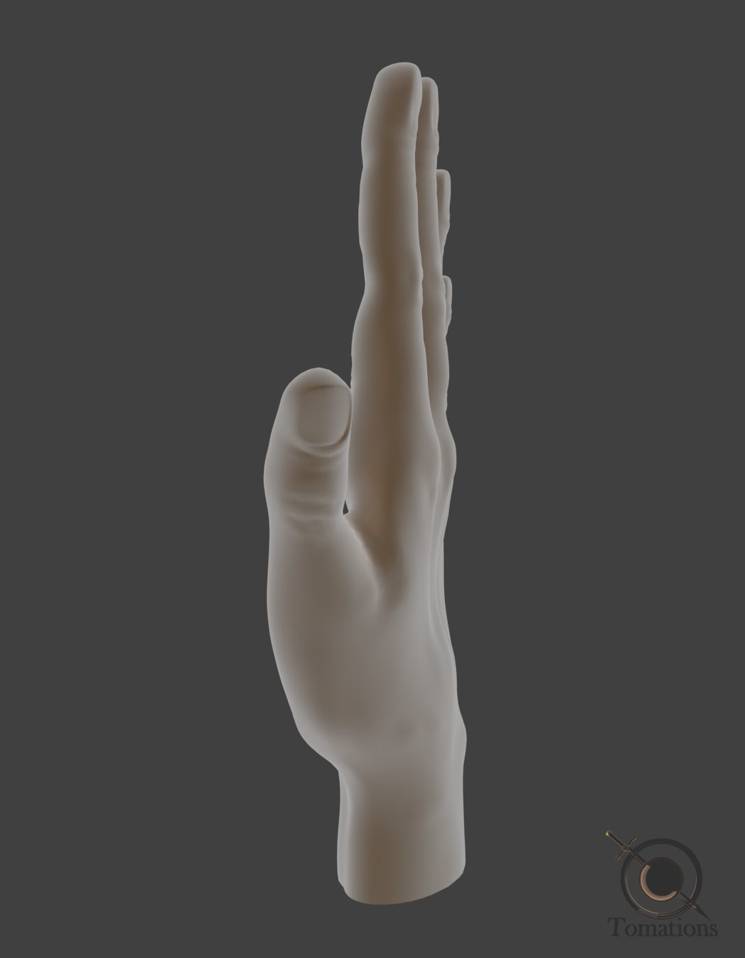 Hand Model 3D model_6