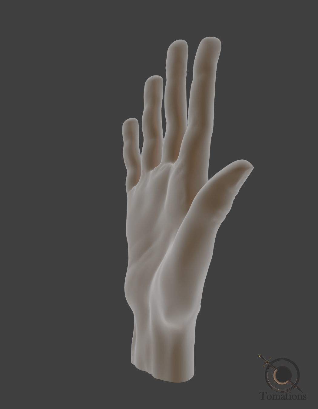 Hand Model 3D model_5