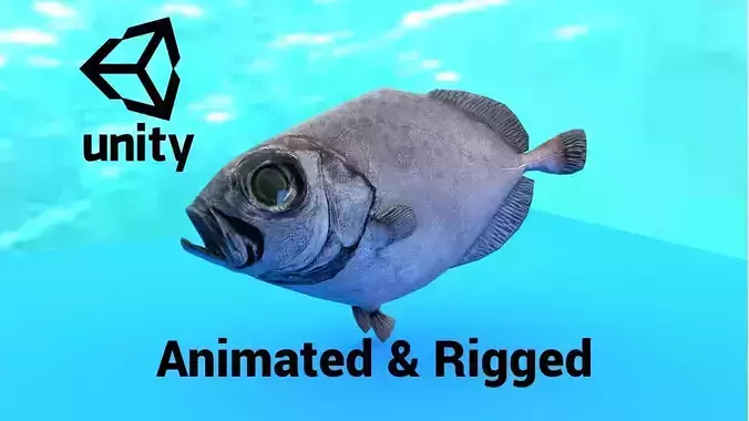 Oreo Dory Low-poly 3D model