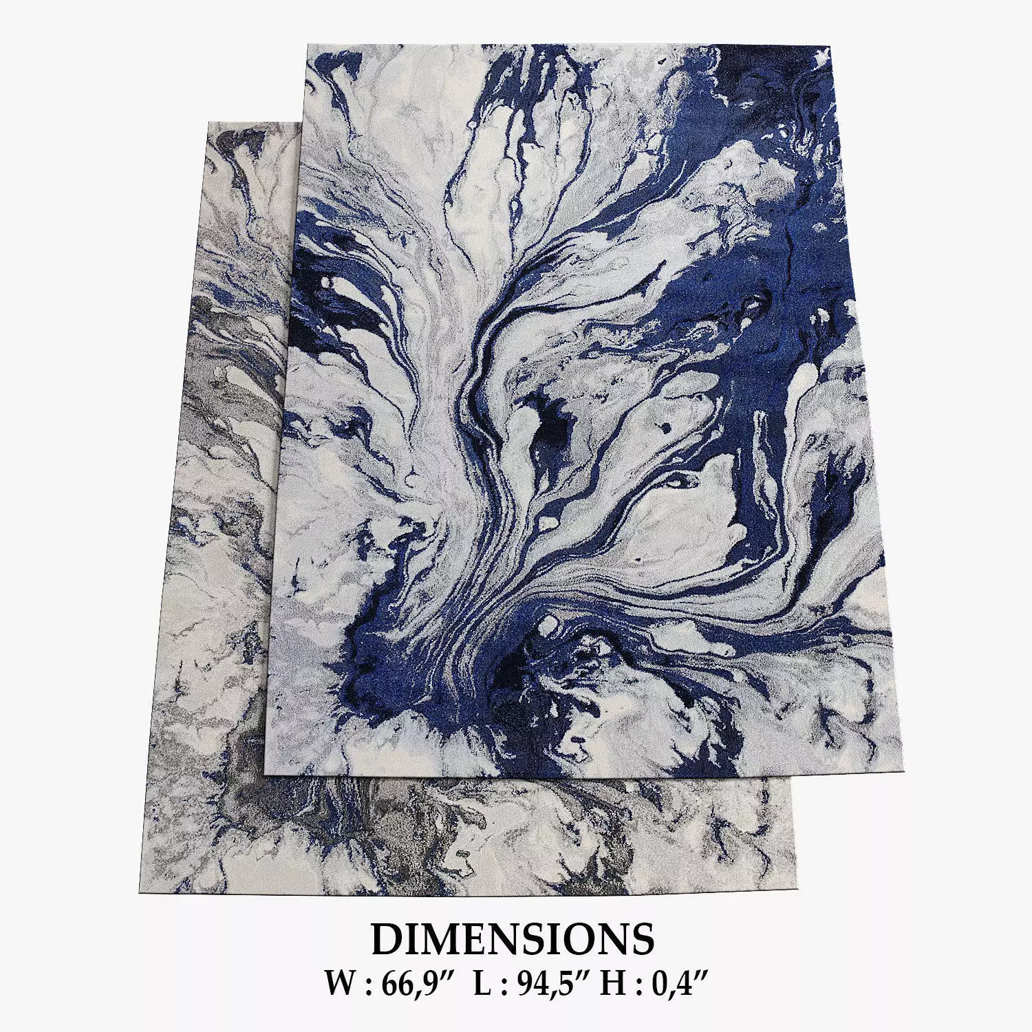 ALLMODERN Rugs 259 3D model_0