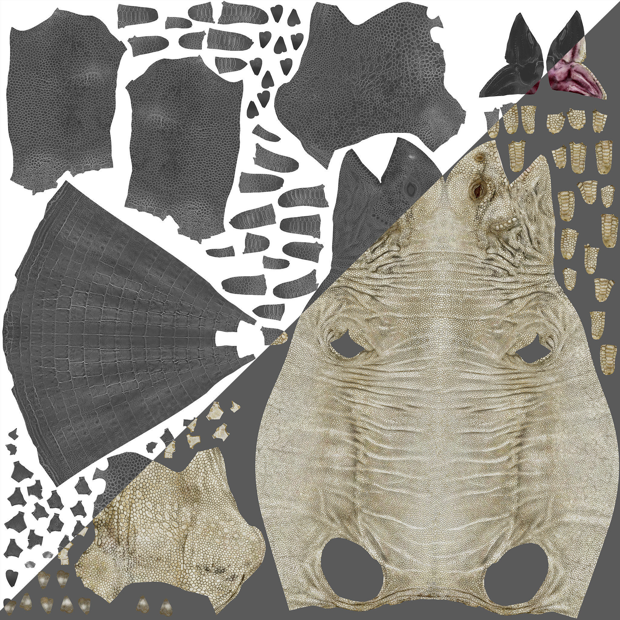 Uromastyx-Lizard Low-poly 3D model_7