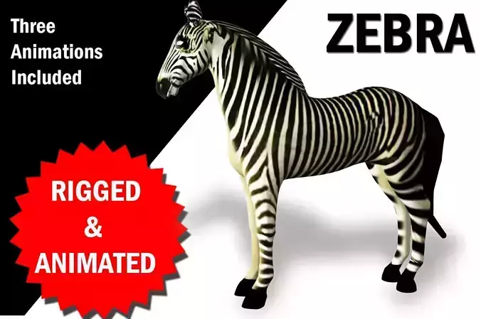 Zebra Rigged and Animated Low-poly 3D model