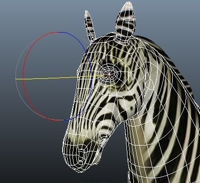Zebra Rigged and Animated Low-poly 3D model_15