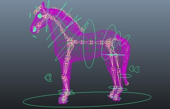 Zebra Rigged and Animated Low-poly 3D model_8