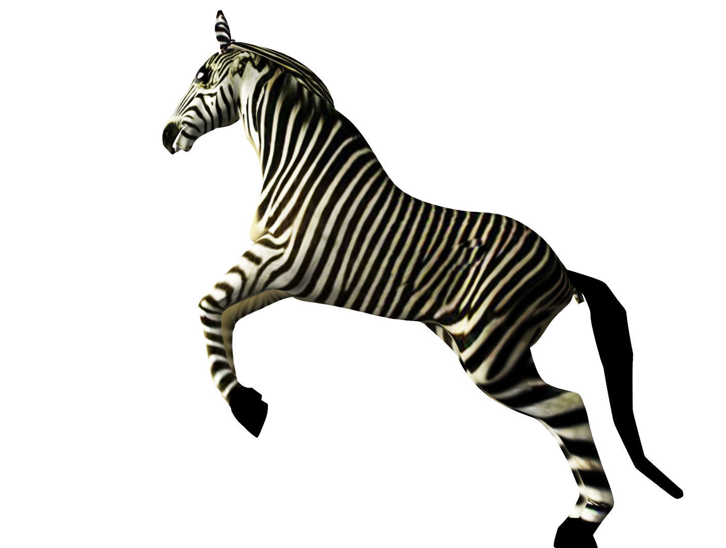 Zebra Rigged and Animated Low-poly 3D model_5