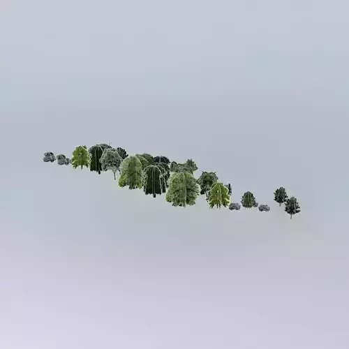 Green 2 group of trees