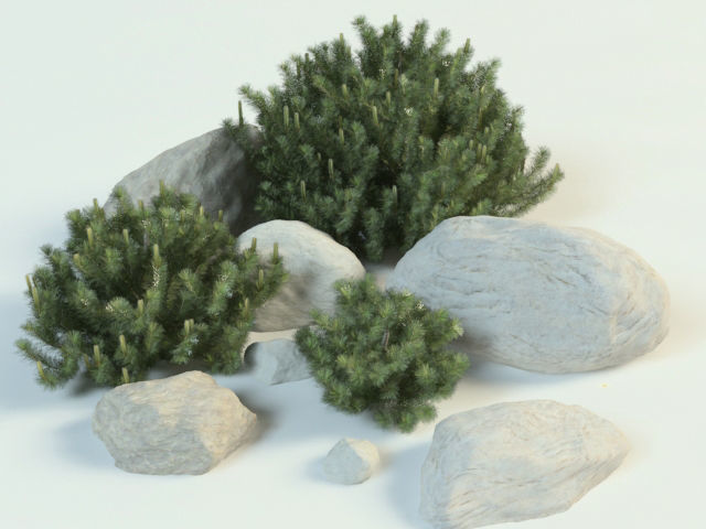 pinus mugo set 3D model_1