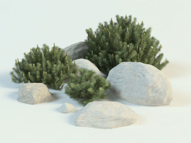 pinus mugo set 3D model_0