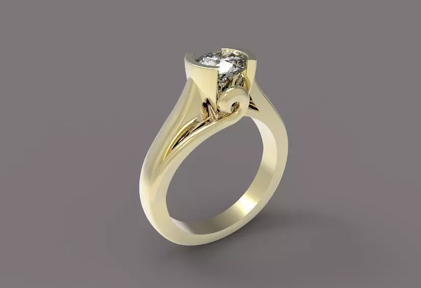 Ring 21 3D print model