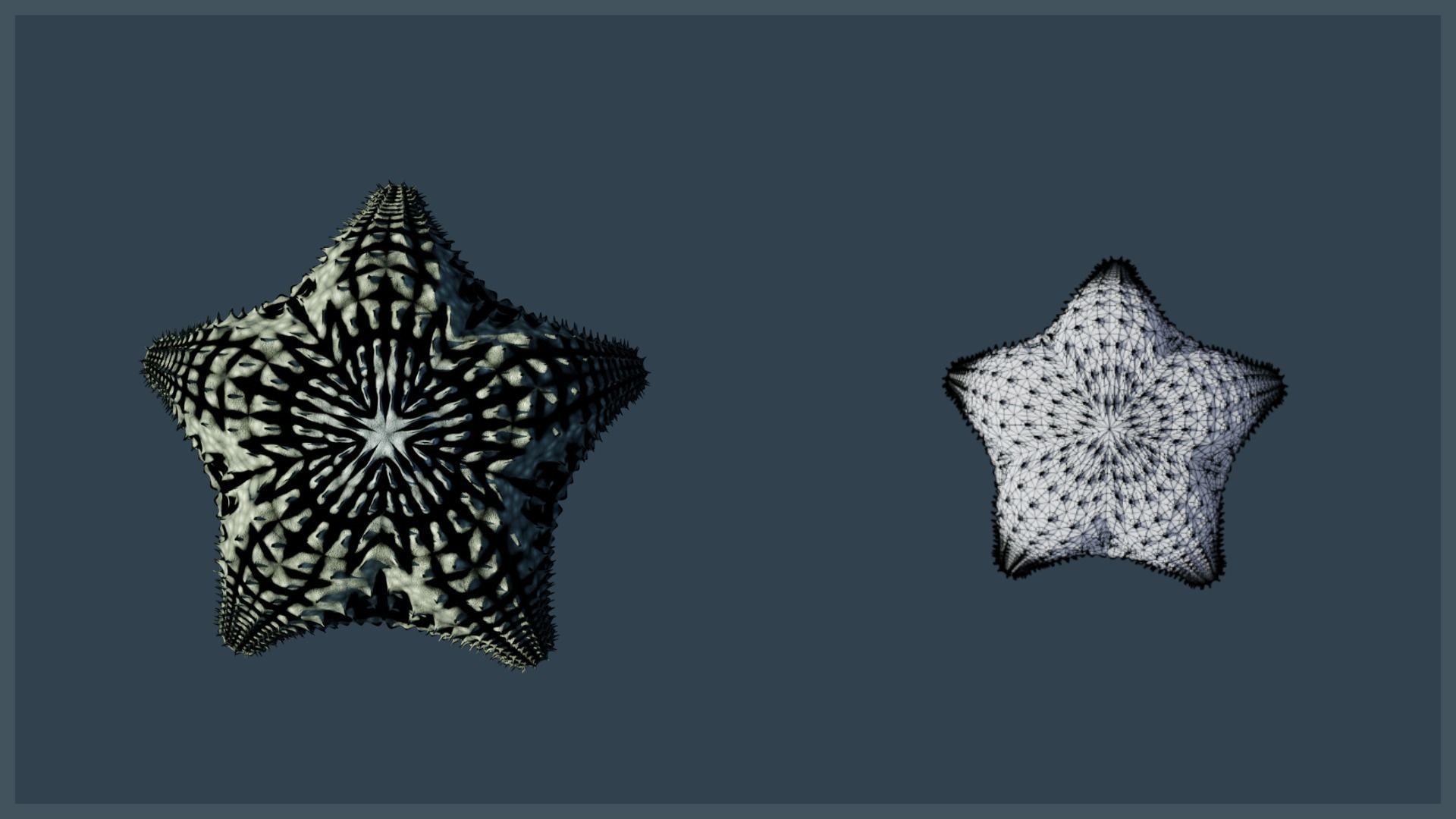 Starfish Variety Pack 3 Low-poly 3D model_14