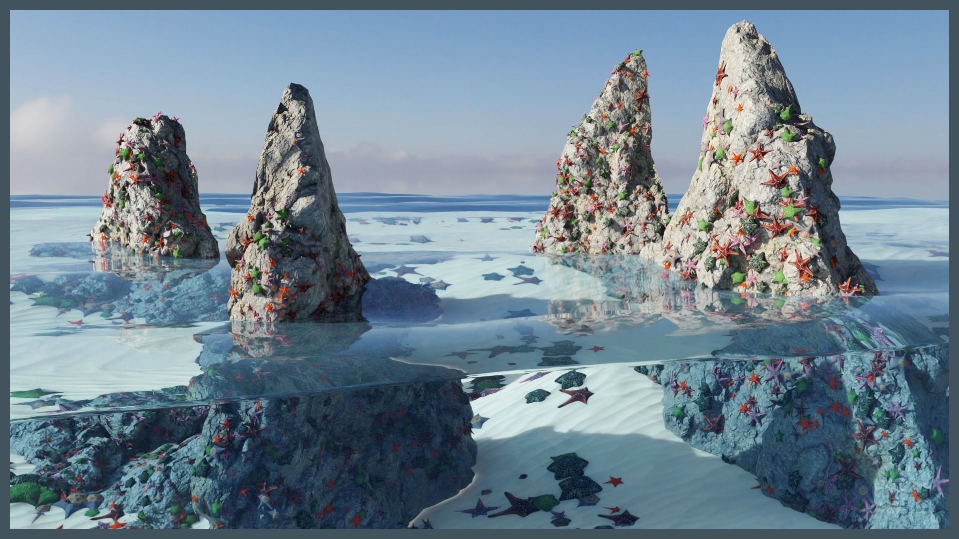 Starfish Variety Pack 3 Low-poly 3D model_1