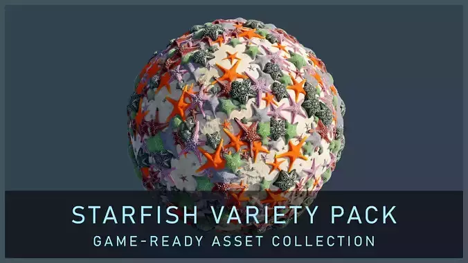 Starfish Variety Pack 3
