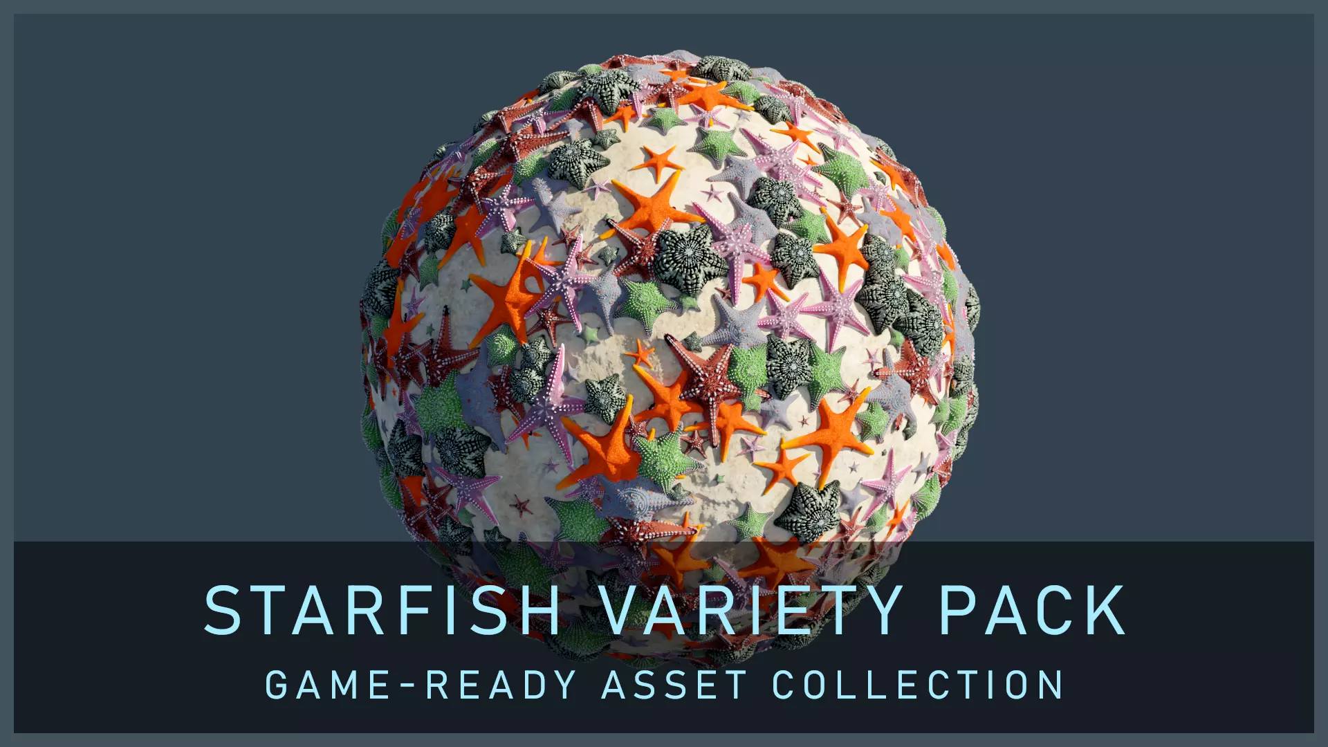 Starfish Variety Pack 3 Low-poly 3D model_0