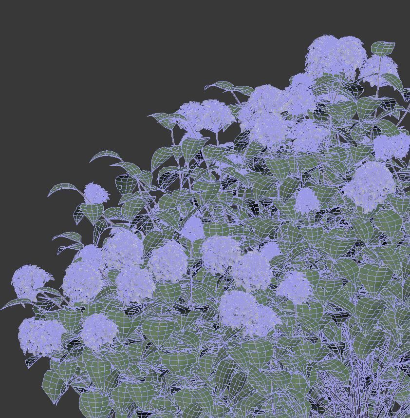 Hydrangea arborescens Nr1  Three sizes 3D model_3