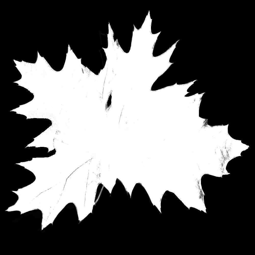 IVY GROWER plugin texture pack 3D model_28