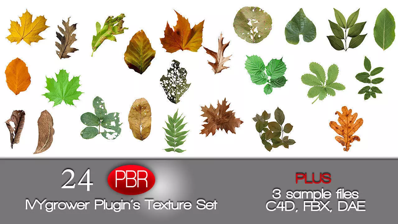 IVY GROWER plugin texture pack 3D model_0