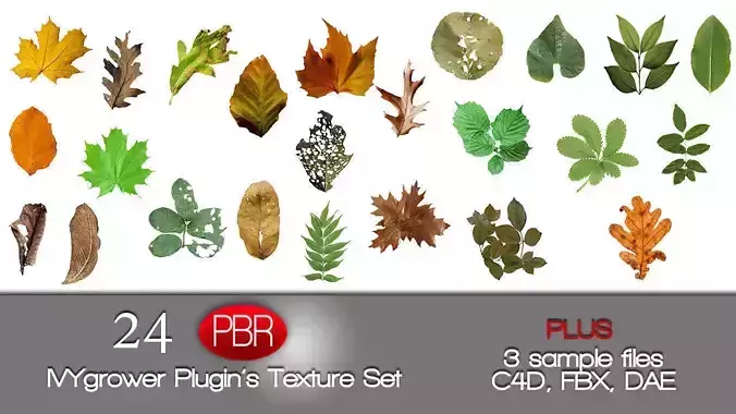 IVY GROWER plugin texture pack 3D model IVY GROWER plugin texture pack 3D model