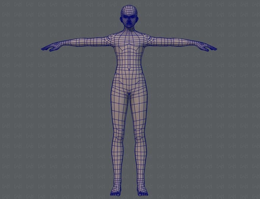 Base ManV04 and Base WomanV11 3D Model Collection_10