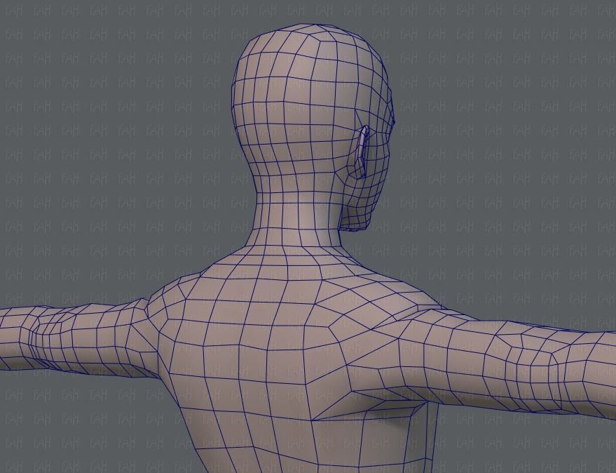 Base ManV04 and Base WomanV11 3D Model Collection_49