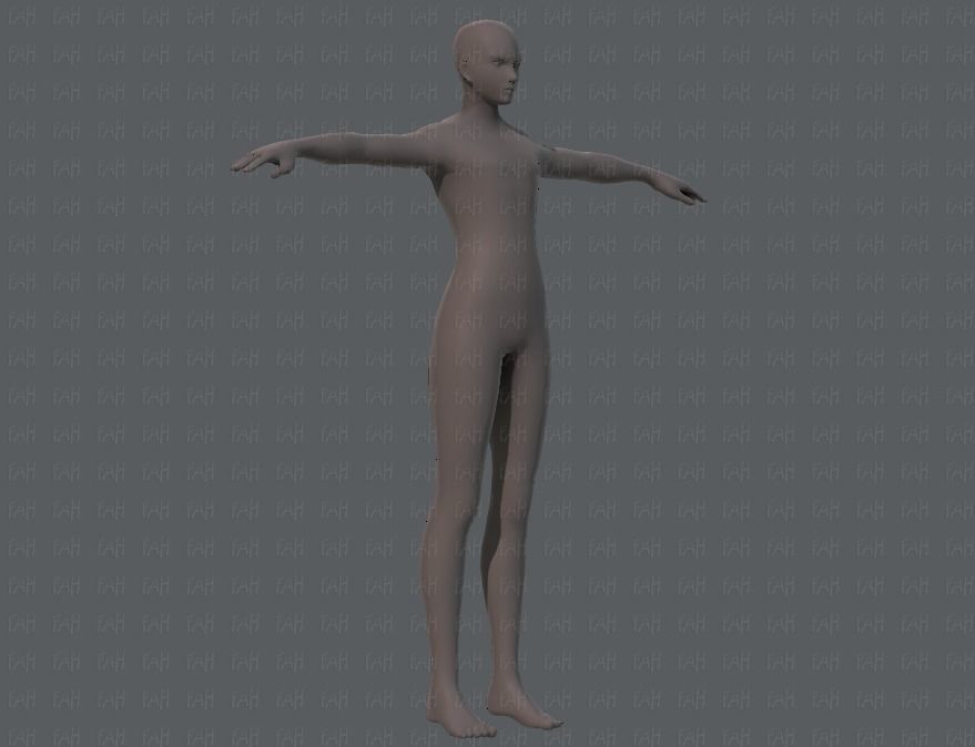 Base ManV04 and Base WomanV11 3D Model Collection_3