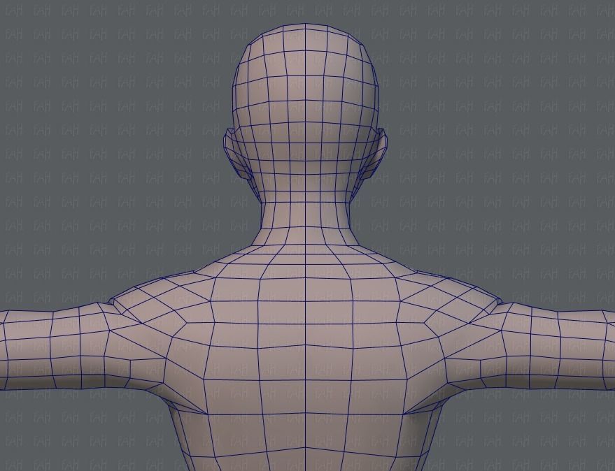 Base ManV04 and Base WomanV11 3D Model Collection_50