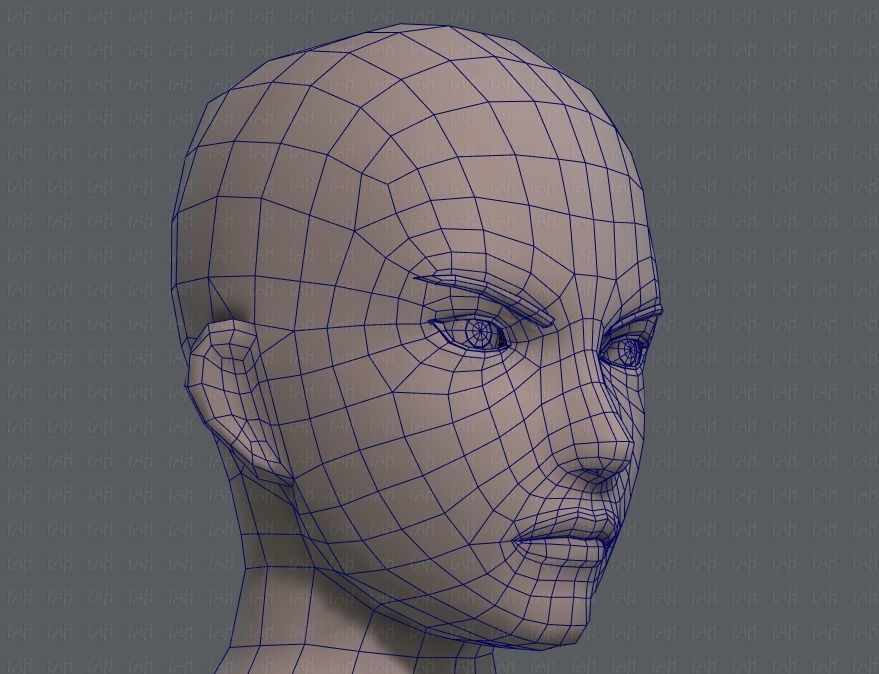 Base ManV04 and Base WomanV11 3D Model Collection_57