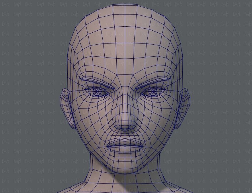 Base ManV04 and Base WomanV11 3D Model Collection_55