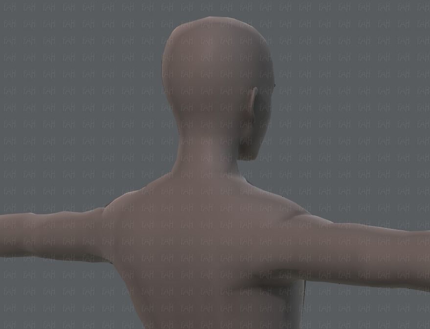 Base ManV04 and Base WomanV11 3D Model Collection_41