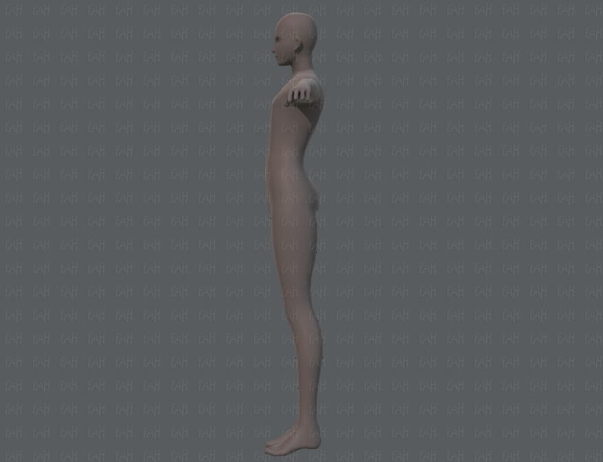 Base ManV04 and Base WomanV11 3D Model Collection_8