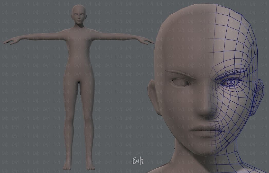 Base ManV04 and Base WomanV11 3D Model Collection_1