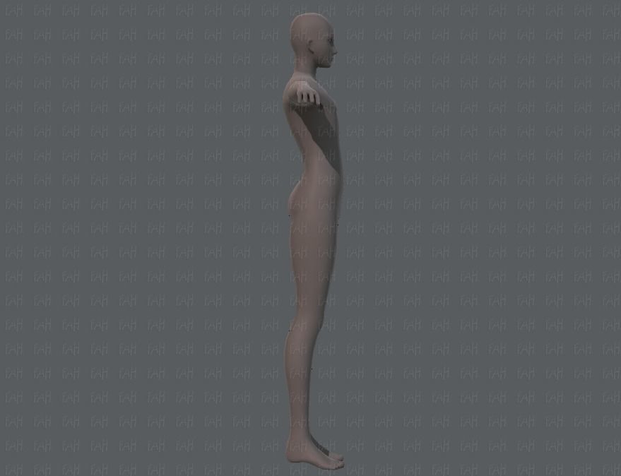 Base ManV04 and Base WomanV11 3D Model Collection_4
